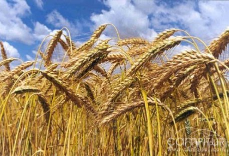 Granja de Torrehermosa acoge unas Jornadas sobre Comercialización Agraria 