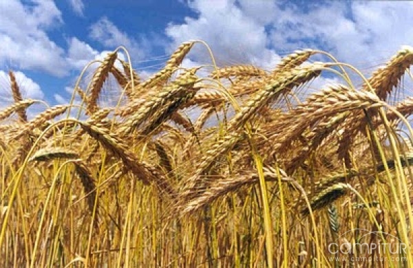 Granja de Torrehermosa acoge unas Jornadas sobre Comercialización Agraria 
