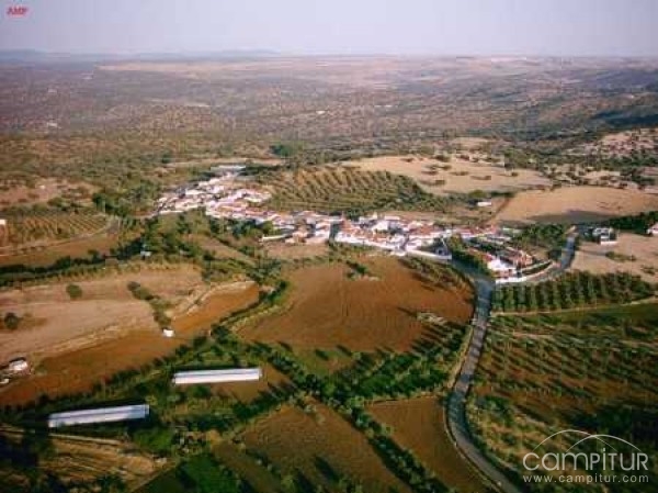 Feria en honor de Ntra. Sra. De la Paz en La Cardenchosa 
