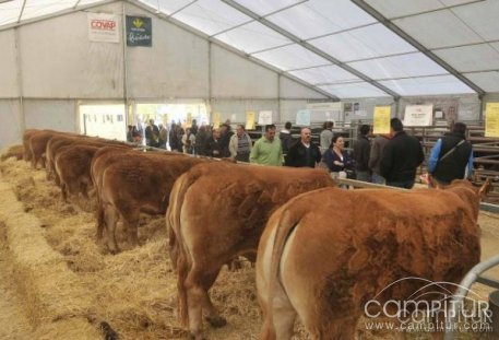 Fuente Obejuna acogerá una nueva edición de FAGA 