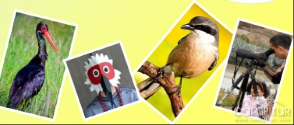 Día Mundial de las Aves en Villaviciosa de Córdoba 