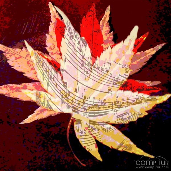 Programación Cultural Otoño – Invierno de San Nicolás del Puerto 
