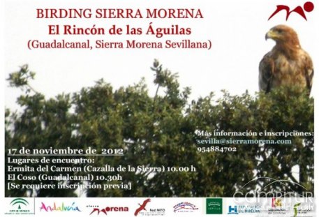 Birding Sierra Morena. El rincón de las águilas. 