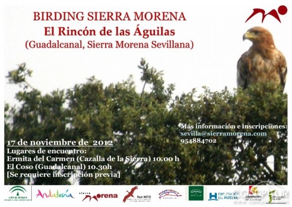 Birding Sierra Morena. El rincón de las águilas. 