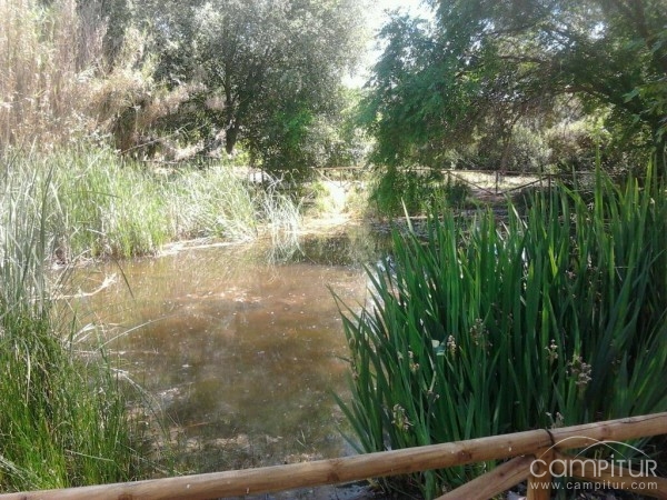 El Jardín Botánico “El Robledo” de Constantina cambia su horario de visitas  