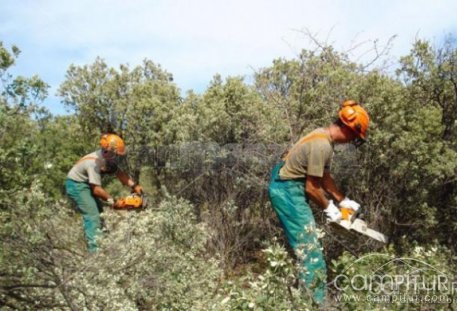 Próxima contratación de trabajadores forestales en San Nicolás del Puerto 