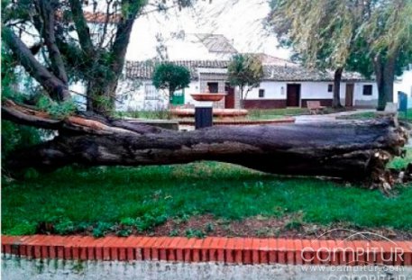 El temporal ocasiona numerosos daños en Villanueva del Rey 