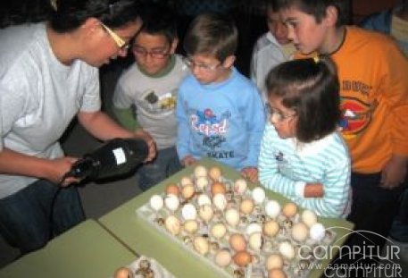 Los alumnos aprenden en vivo en que consiste el proceso de incubación 