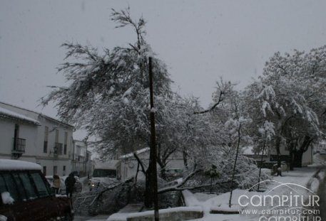 La nevada del pasado jueves deja numerosos daños e incidencias