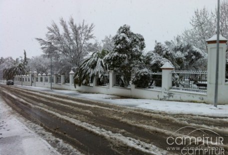 Cómo actuar ante la nieve