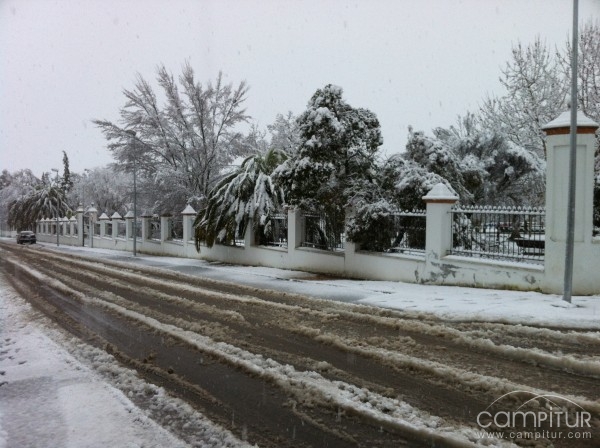 Cómo actuar ante la nieve