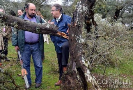 El presidente del PP andaluz visitó Guadalcanal para comprobar los daños del temporal