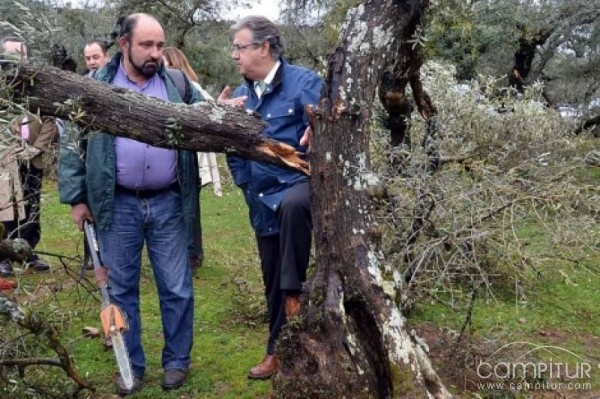El presidente del PP andaluz visitó Guadalcanal para comprobar los daños del temporal