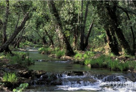 Sesión de la Junta Rectora del Parque Natural Sierra Norte de Sevilla