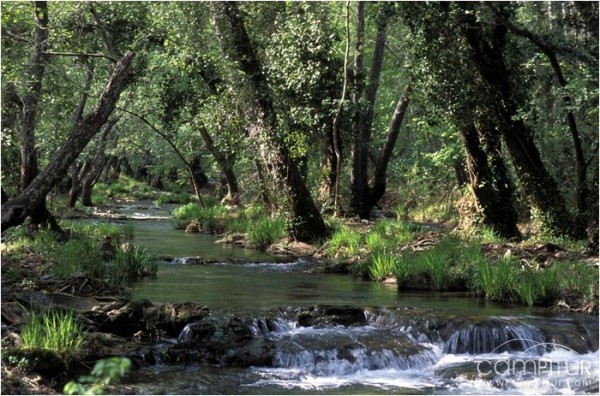 Sesión de la Junta Rectora del Parque Natural Sierra Norte de Sevilla