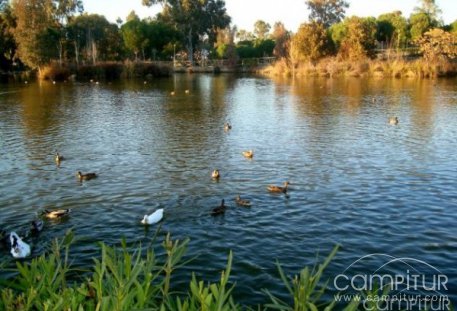 El Parque Las Quinientas de Berlanga acogerá numerosas Actividades de Verano  