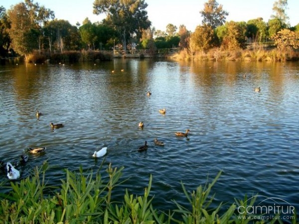 El Parque Las Quinientas de Berlanga acogerá numerosas Actividades de Verano  