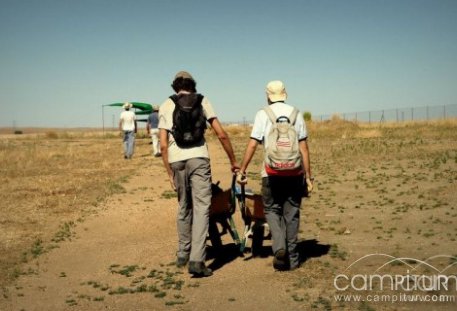 La ciudad romana de Regina acoge el 7º Curso de Arqueología Clásica 