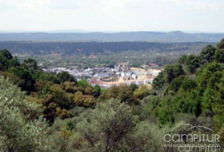 Taller de Empleo de Reforestación de Áreas Degradadas en el Pedroso 