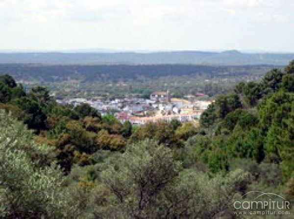 Taller de Empleo de Reforestación de Áreas Degradadas en el Pedroso 