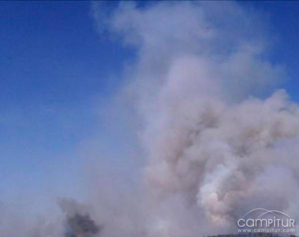 Un total de 370 hectáreas calcinadas entre Peñarroya y Belmez 