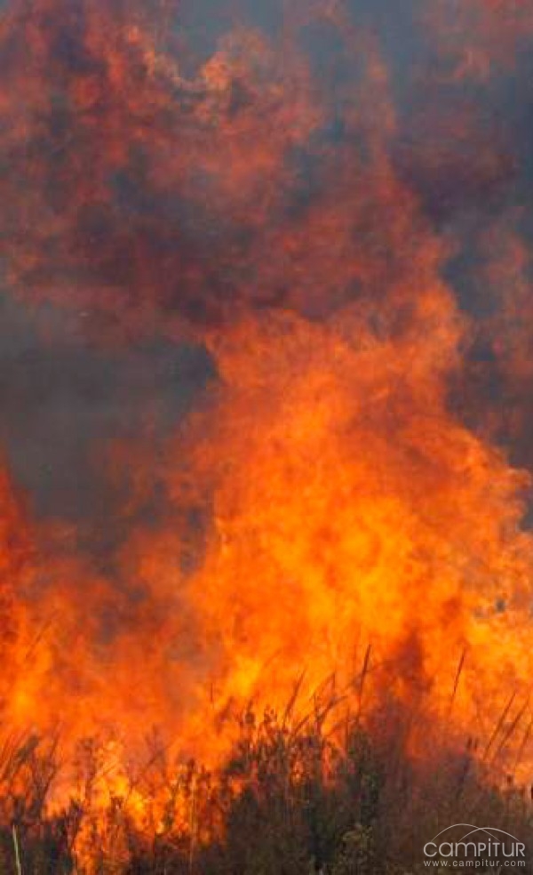 Un incendio en Campillo de Llerena arrasa 267 hectáreas 