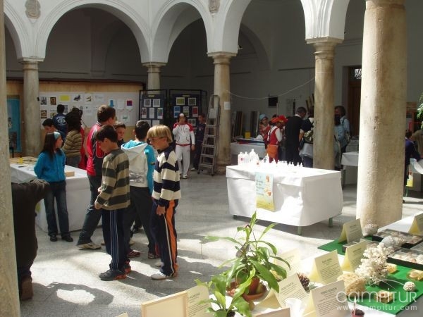 La IV Feria de las Ciencias ha recibido la visita de unos 700 alumnos 