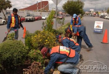 18 puestos de trabajo temporales en Azuaga 