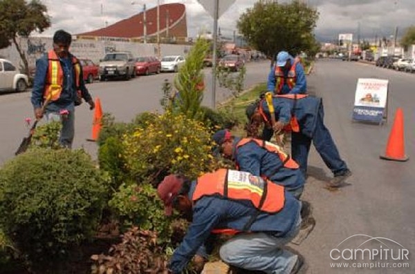 18 puestos de trabajo temporales en Azuaga 