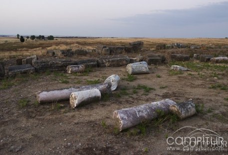 Jornada de puertas abiertas durante el 7º Curso de Arqueología Clásica en la Ciudad Romana de Regina 