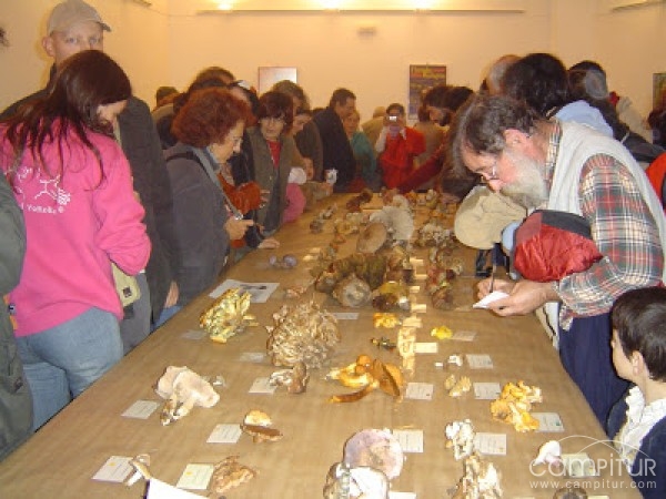 Las XVII Jornadas Micológicas Constantina 2013