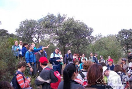 Un centenar de personas participaron en la IV Ruta Grande de Senderismo en Villaharta 