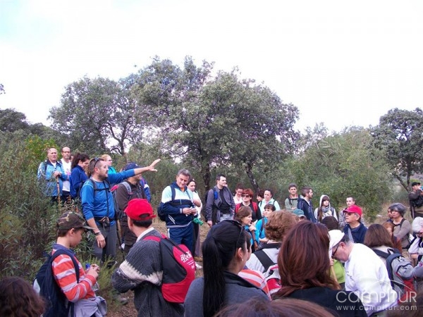 Un centenar de personas participaron en la IV Ruta Grande de Senderismo en Villaharta 