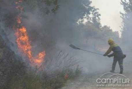 El SEXPE de Llerena impartirá un curso de Trabajador/a Forestal 