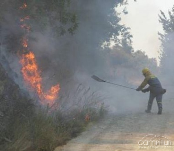 El SEXPE de Llerena impartirá un curso de Trabajador/a Forestal 