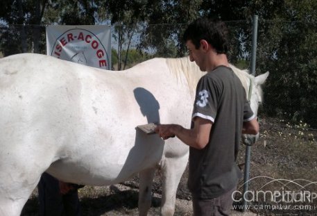 La Asociación AISER-ACOGE Obtiene un PCPI que Impartirá en Azuaga