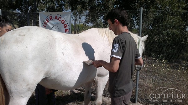 La Asociación AISER-ACOGE Obtiene un PCPI que Impartirá en Azuaga