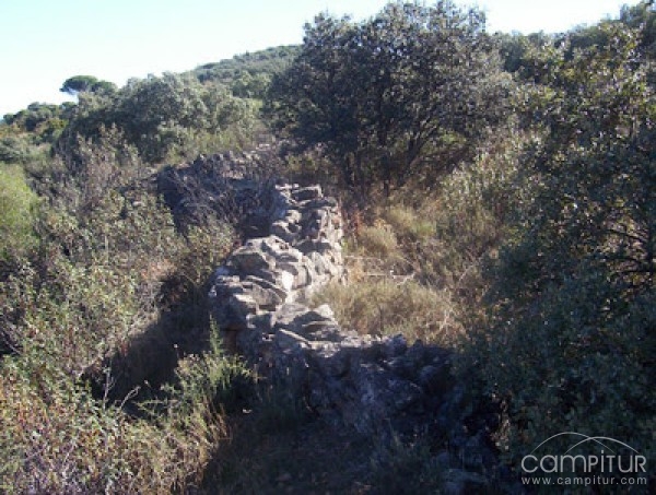 Nueva Ruta Por El Camino Verde en Villaharta 