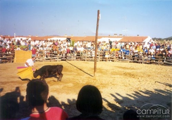 Peraleda se prepara para sus Ferias y Fiestas 2009 