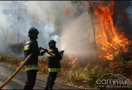 Imputado un hombre como presunto autor de un incendio forestal en la Sierra Norte 