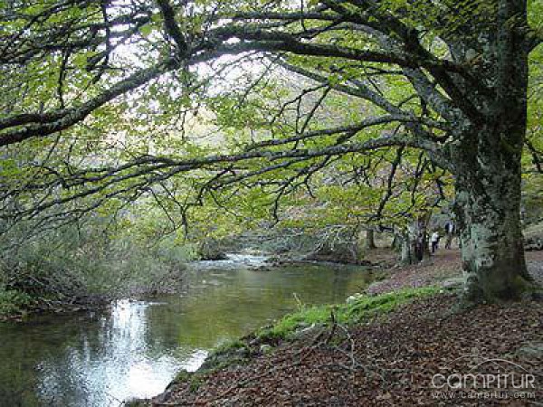 III Semana de los Geoparques Europeos del Geoparque Sierra Norte de Sevilla 