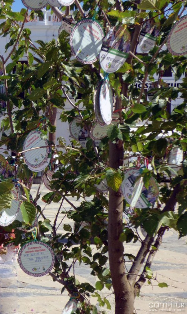Llerena celebra el Día Mundial del Alzheimer con el Árbol de los Recuerdos 