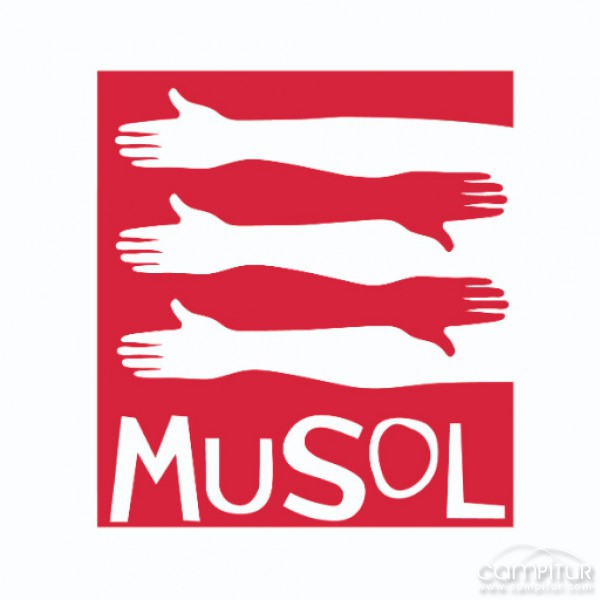 Descubrimos la Fundación MUSOL 