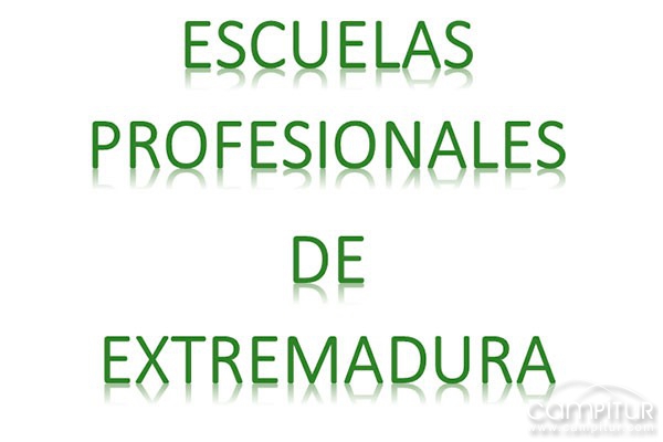 Nueva Escuela Profesional en Azuaga 