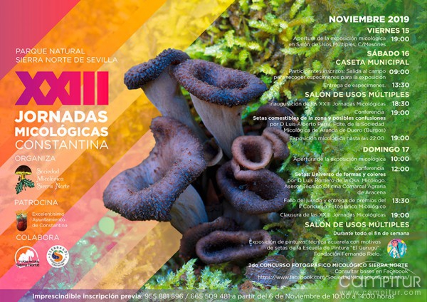 XXIII Jornadas Micológicas Parque Natural Sierra Norte de Sevilla 