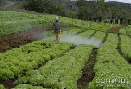 En Berlanga se impartirá uno de los 20 cursos de Plaguicidas de Uso Agrario y Bienestar Animal 