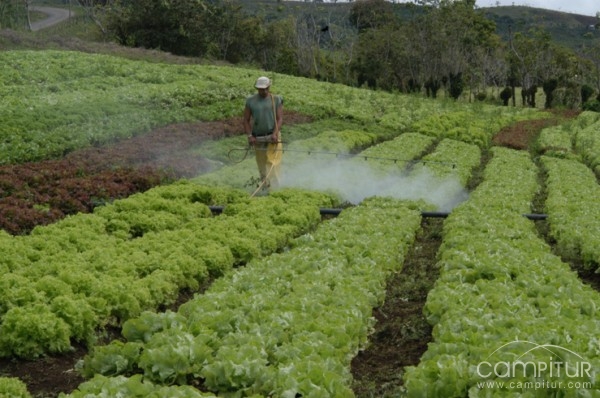 En Berlanga se impartirá uno de los 20 cursos de Plaguicidas de Uso Agrario y Bienestar Animal 