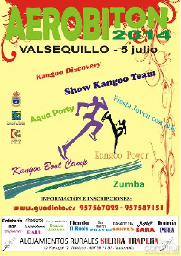 Aerobiton 2014 en Valsequillo 