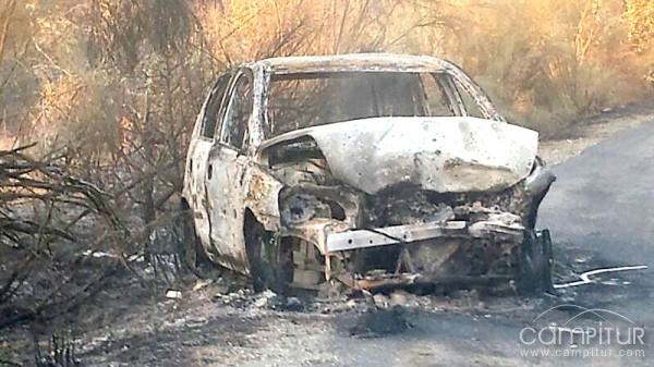 Más de 70 efectivos del Infoca intervienen en un incendio en Guadalcanal 