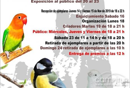 V Concurso – Exposición de Ornitología de Azuaga 